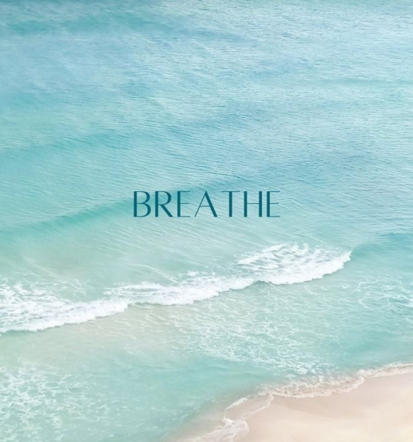 z5711655026202_af01f37638ecb0a607e6bb486fca410e