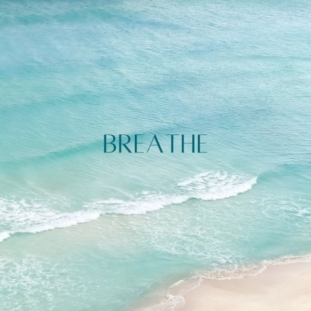 z5711655026202_af01f37638ecb0a607e6bb486fca410e