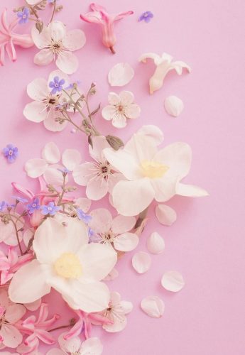 ảnh bài chú tâm vào âm thanh ảnh bài chú tâm vào âm thanh